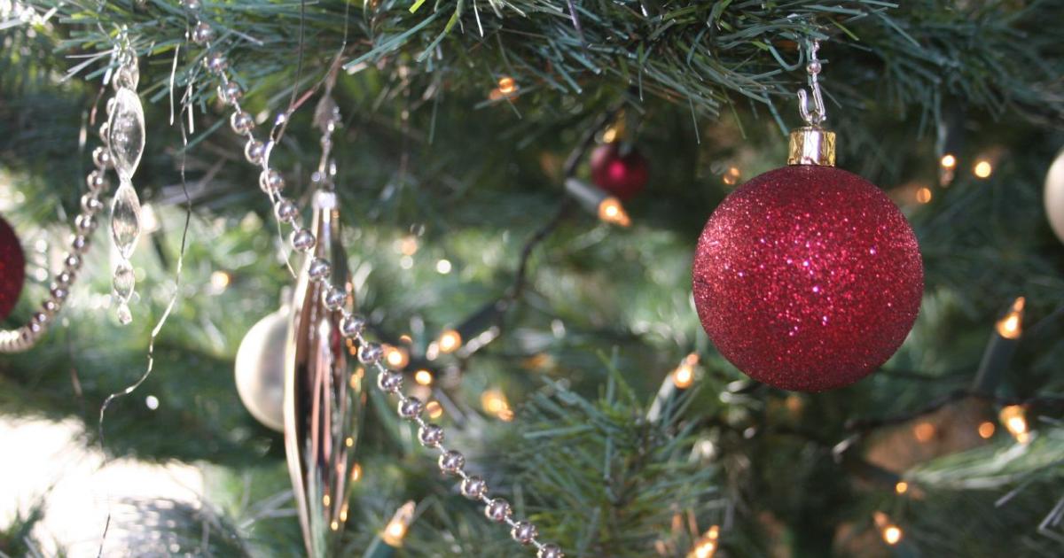 Colorado Christmas Tree Permits Bureau of Land Management